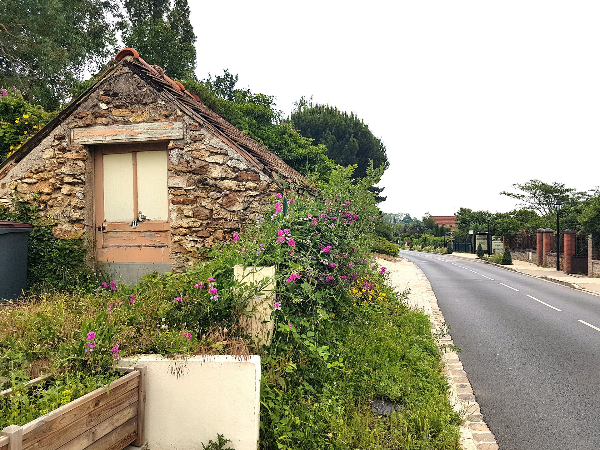 Cabane à fraises